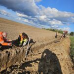 Zdjęcie WhatsApp 2024-12-11 o 21.10.57_517a96ec